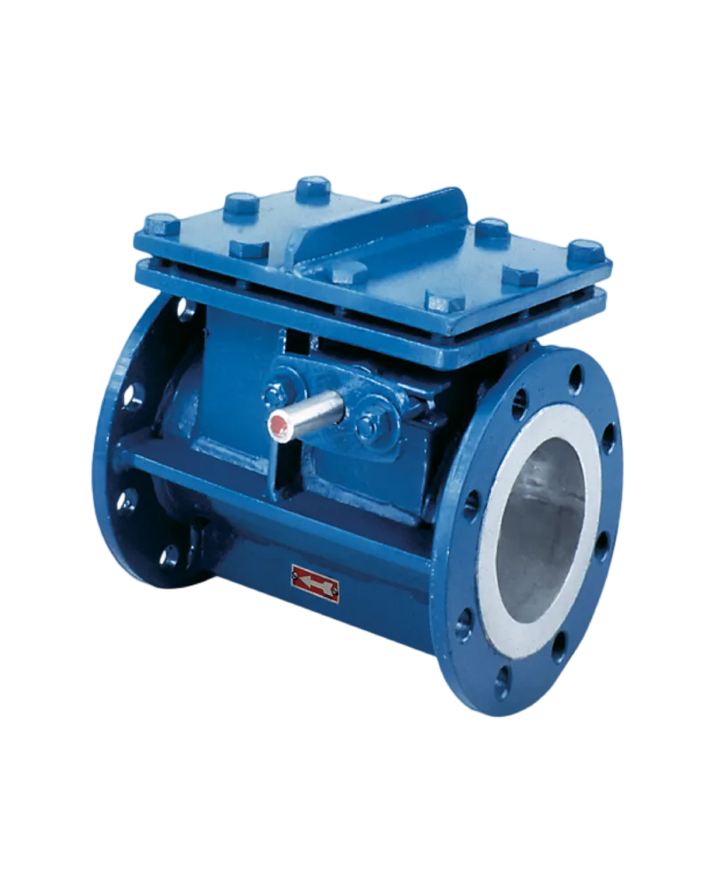 Fabri-Valve F10 Swing Check Valve