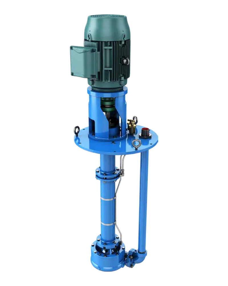 CV 3171 Vertical Sump and Process Pumps