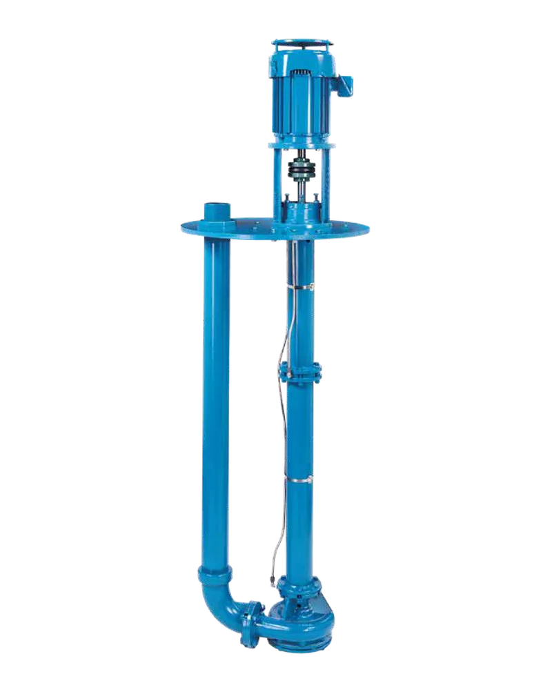 3171 Vertical Sump and Process Pumps