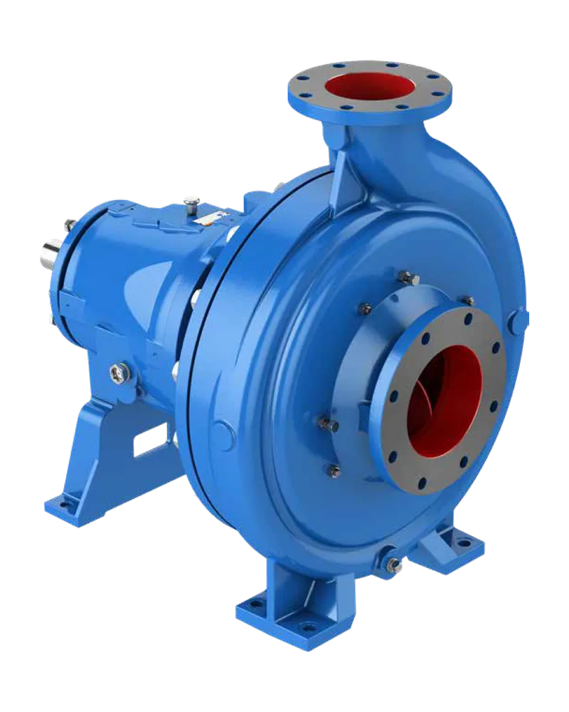 3185 Heavy Duty Process Pumps