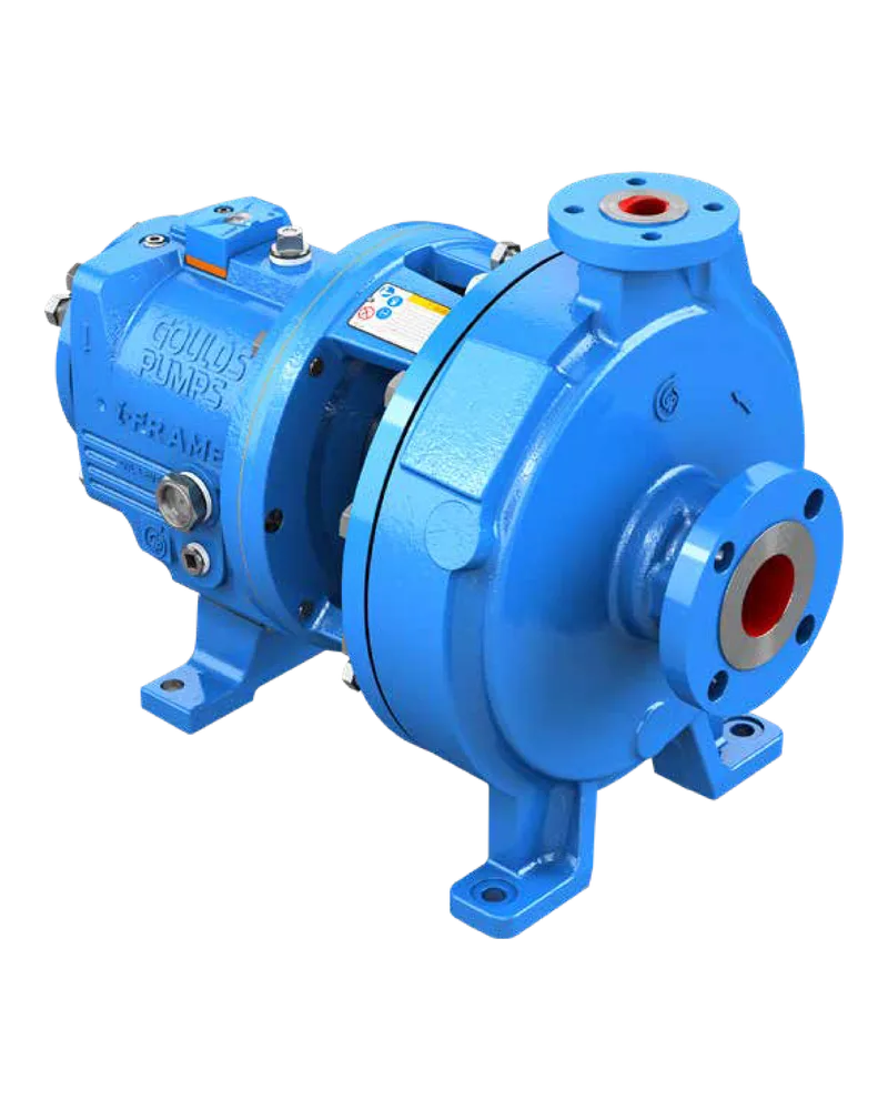 LF 3196 i-FRAME Low Flow ANSI Process Pumps
