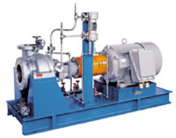 Goulds 3700 API 610 (OH2) Single-Stage, Overhung Process Pump - Fluindo