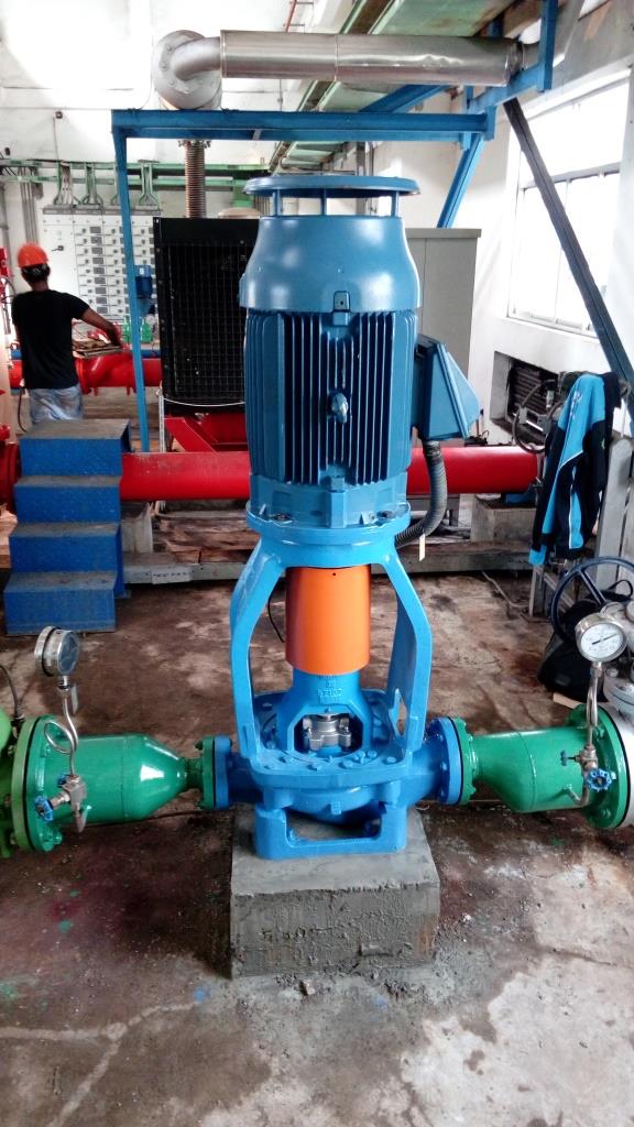 Installation Vertical Inline Pump at IP Pelabuhan Ratu (Goulds Pump ANSI 3996 MTi Size 3x4-10) - 2018